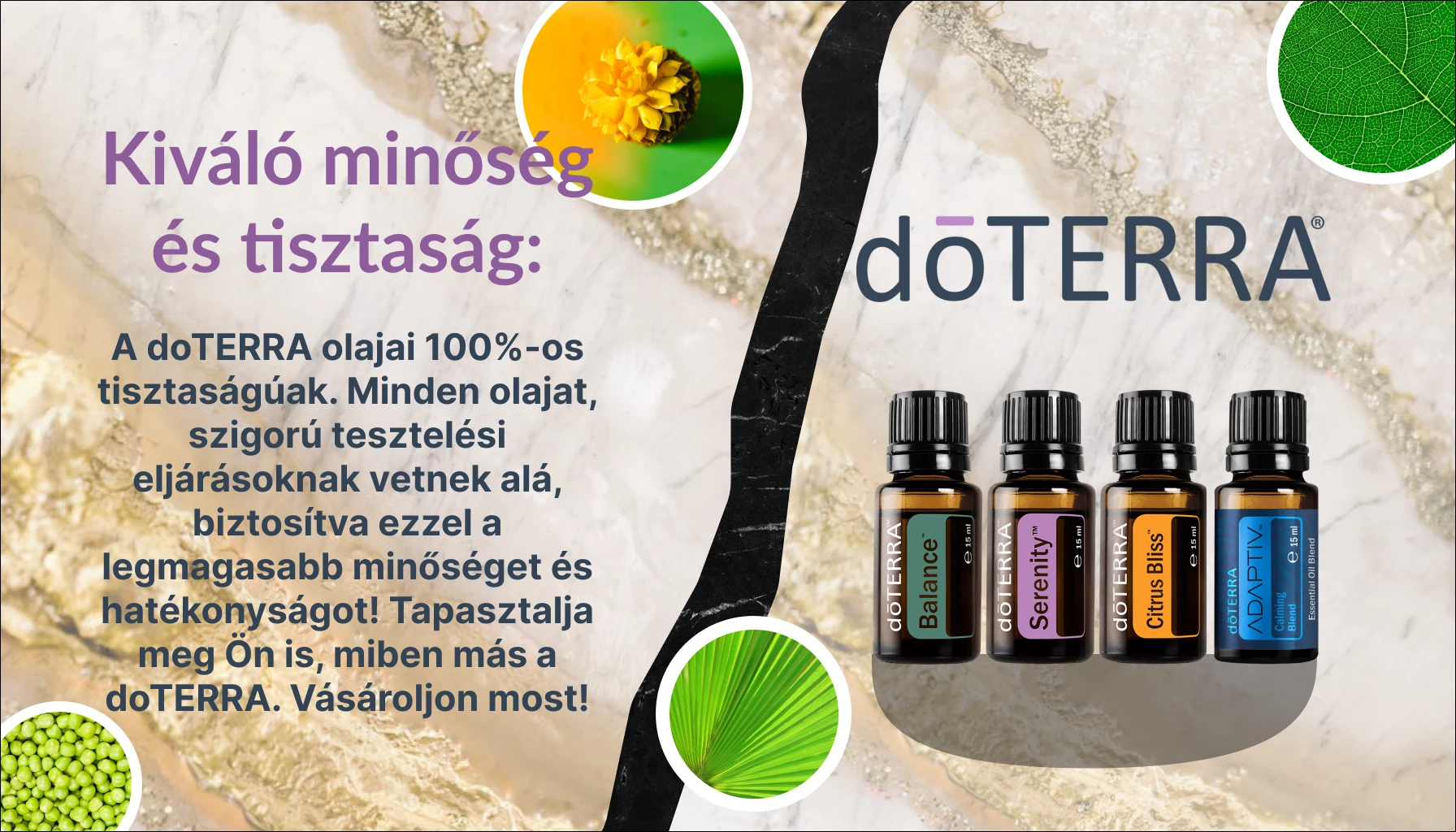 Dávid Könyvkereskedés