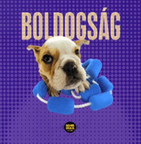 Boldogság
