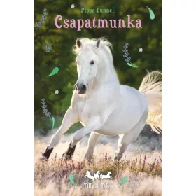 Tilly és Táltos - Csapatmunka