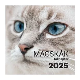 Macskák falinaptár - 2025