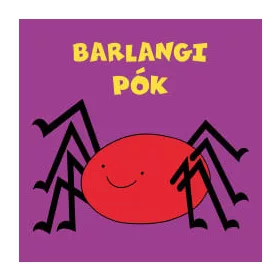 Barlangi pók