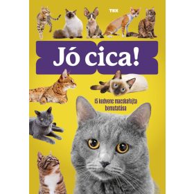 Jó cica!