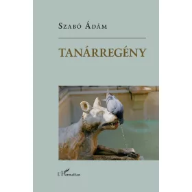 Tanárregény