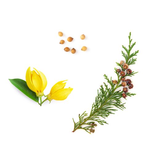 Veráge™ tonizáló