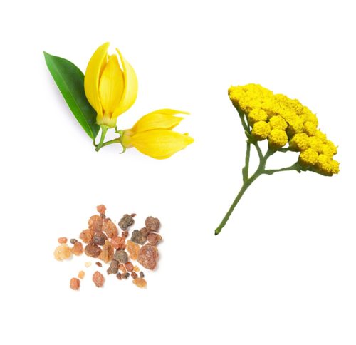 Öregedésgátló szemkrém