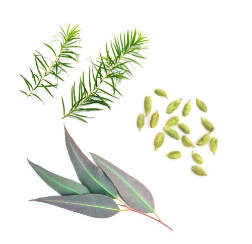 dōTERRA Air™ Légúttisztító keverék