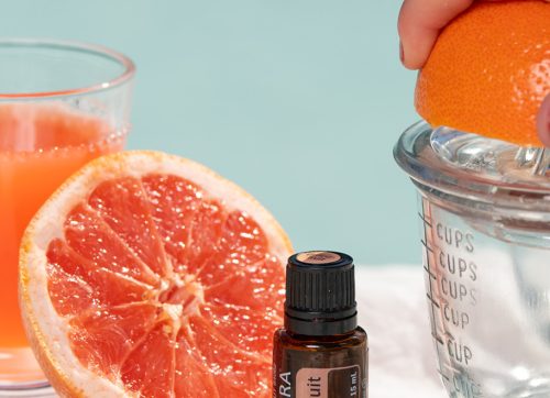 Grépfrút Citrus X paradisi