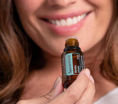 Fodormenta Mentha spicata