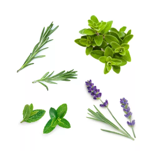 dōTERRA Salon Essentials gyökértől hajvégig hajápoló szérum