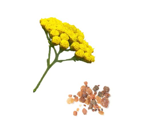 dōTERRA Balance™ dezodor