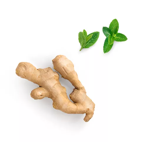 Tamer™ Emésztést támogató keverék
