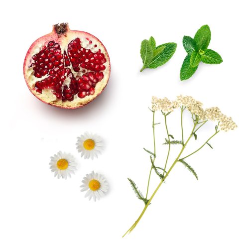 Yarrow|Pom testmegújító szérum