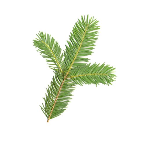 dōTERRA dezodor a duglászfenyő és a görög narancs illatával