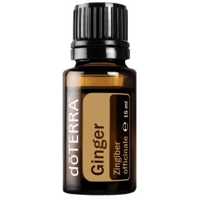 Gyömbér Zingiber officinale