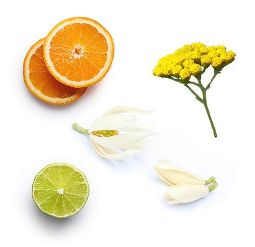 dōTERRA™ öblítés nélküli kondicionáló