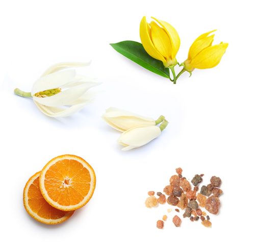 dōTERRA™ sun mindennapos ásványi fényvédő és hidratálókrém arcra