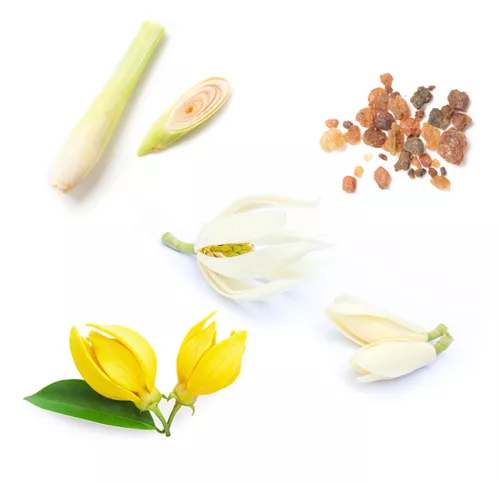 dōTERRA™ sun ásványi fényvédő stift arcra és testre