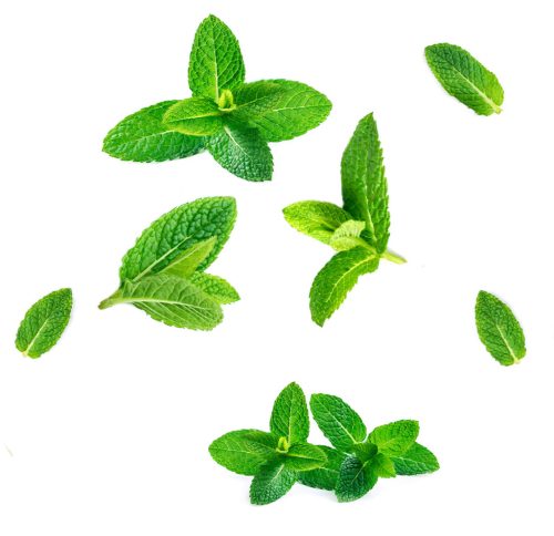 SuperMint™ fogkrém