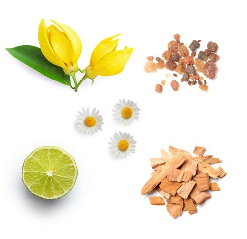 InTune™ Figyelmet segítő keverék