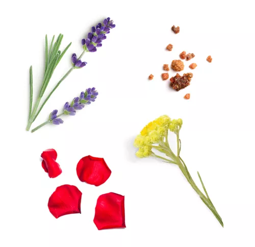 dōTERRA Salubelle™ Szépség keverék