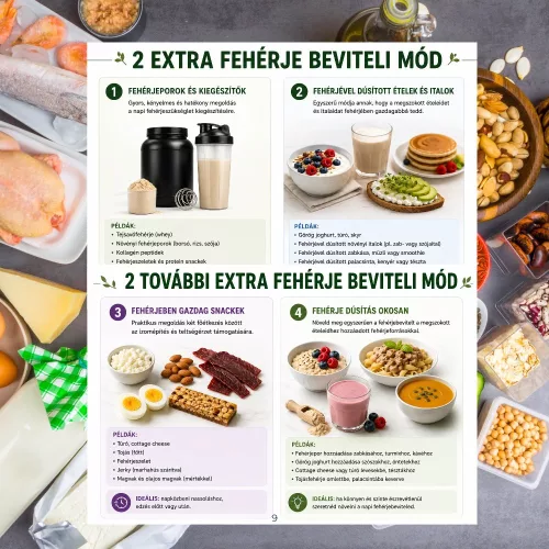 Egyszerű Proteindús Receptek
