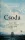 Csoda